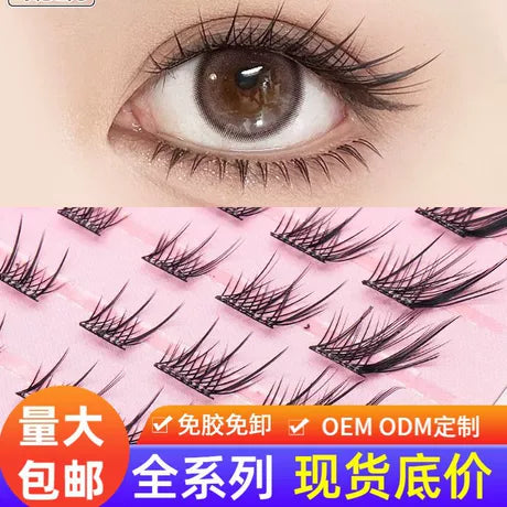 aptisee False Lash Preview Kit
